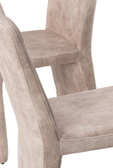Ditka Modern Beige Velvet Dining Chair (Set of 2)