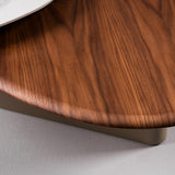 Robson Modern Ceramic + Walnut Coffee Table