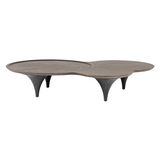 Beulah Modern Free Form Dark Ash Coffee Table
