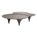 Beulah Modern Free Form Dark Ash Coffee Table