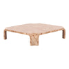 Nouveau Nasrin Modern Burl Square Coffee Table
