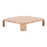 Nouveau Nasrin Modern Burl Square Coffee Table