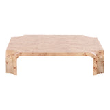 Nouveau Nasrin Modern Burl Square Coffee Table