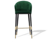 Adak Modern Glam Green with Black & Gold Barstool