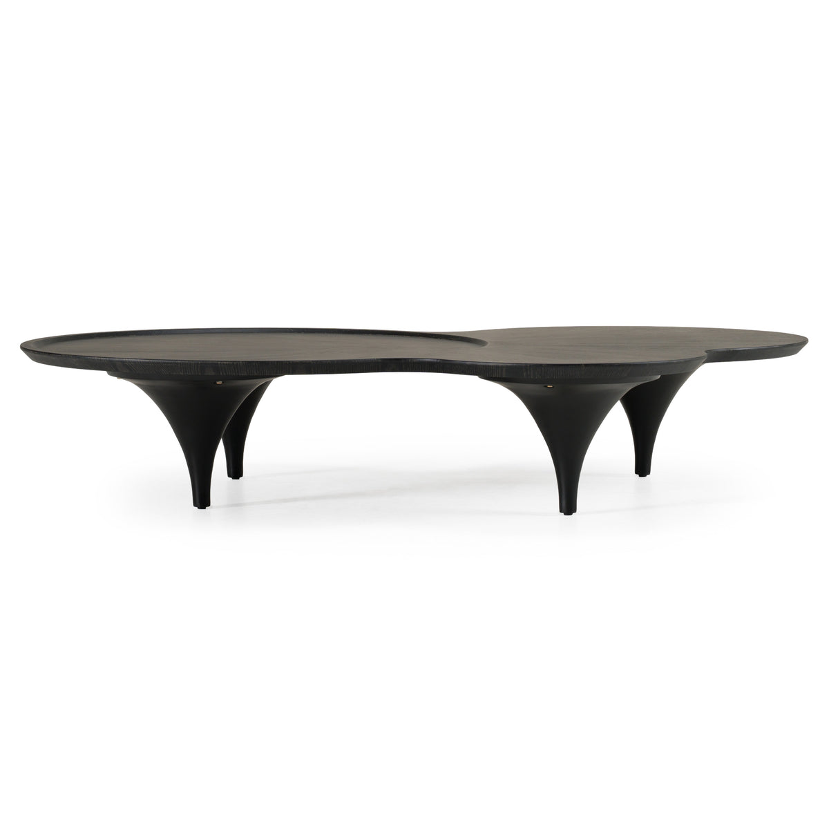 Beulah Modern Free Form Black Ash Coffee Table