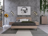 Queen Boston Modern Brown Oak & Brushed Stainless Steel Bed