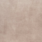 Ditka Modern Beige Velvet Dining Chair (Set of 2)