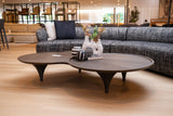 Beulah Modern Free Form Dark Ash Coffee Table