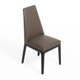 Encino Modern Taupe & Timber Chocolate Dining Chair (Set of 2)