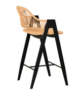 Gayle Modern Rattan Counter Stool Set of 2