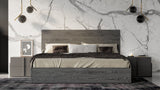 Queen Lucia Italian Modern Matte Grey / Elm Grey Bedroom Set