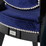 Isabella Modern Blue Dining Chair (Set of 2)