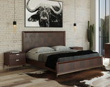 Shane Modern Acacia & Brass Bed