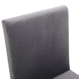 Reba Modern Grey Velvet & Stainless Steel Dining Chair (Set of 2)