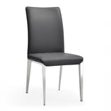 Taryn Modern Dark Grey Dining Chair (Set of 2)