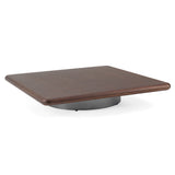 Valley Modern Walnut + Titanium Low Coffee Table